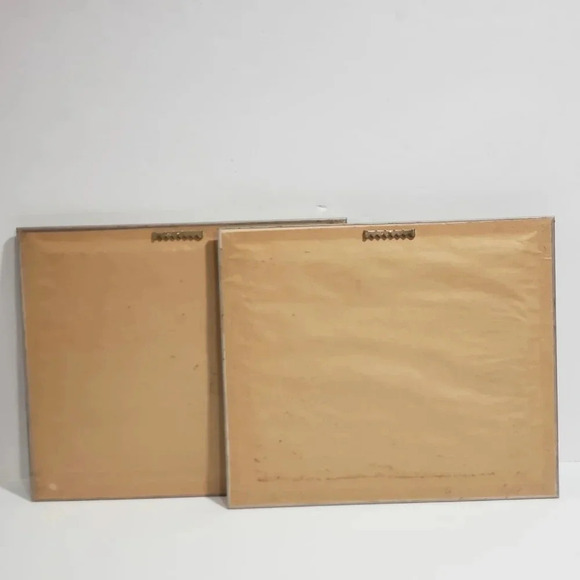 Lena Liu Hummingbird  Print Framed Triple Matted Signed. - Picture 7 of 7